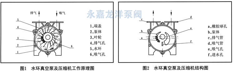 SK系列水环式真空泵工作原理图