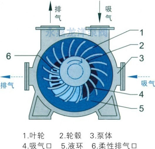 2BE系列水环式真空泵结构示意图