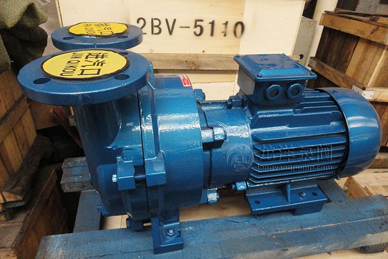 2BV-5110系列水环式真空泵
