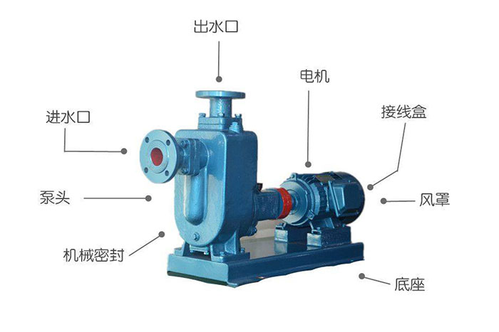 ZW不锈钢自吸泵结构图