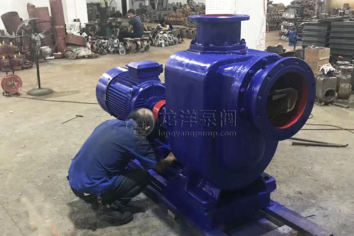 大口径大流量高扬程自吸泵